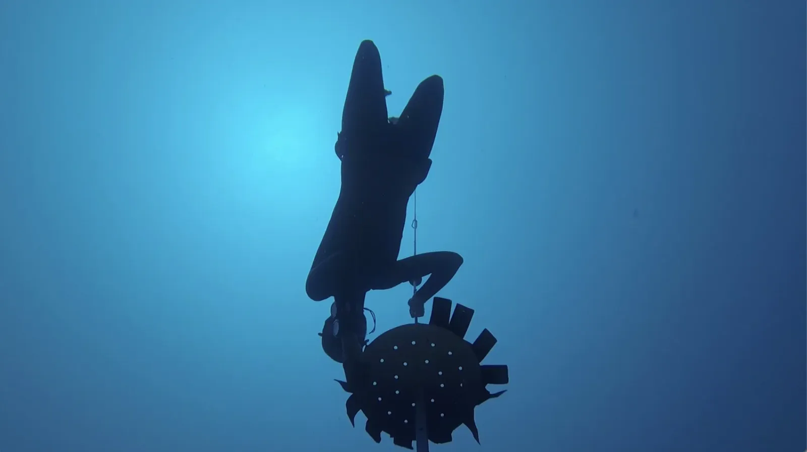 Freediving Equalization Tips: Frenzel, Breathwork, and Mobility