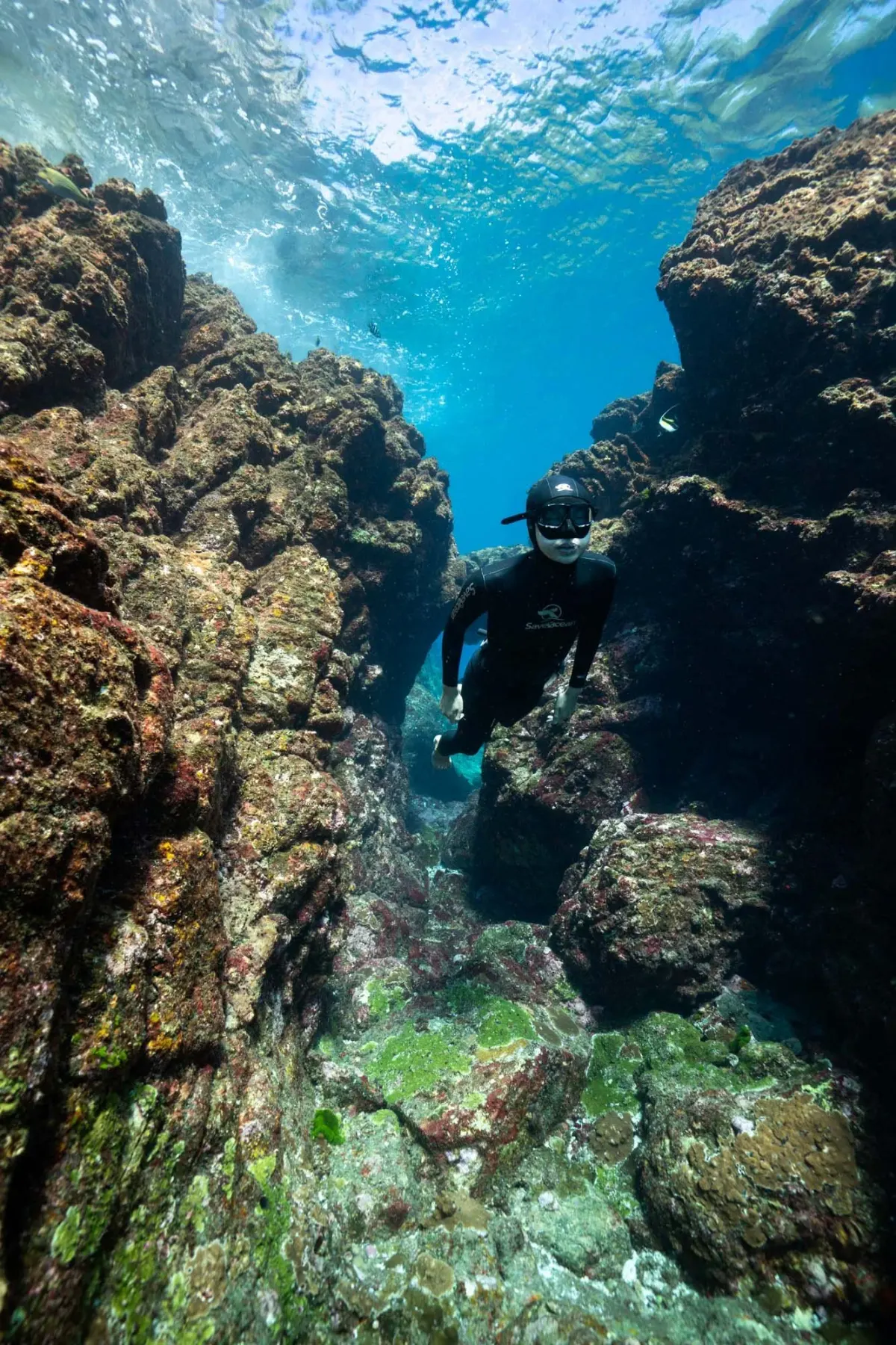 Freedivers and snorkelers during an Orenda ocean adventure near Koh Tao