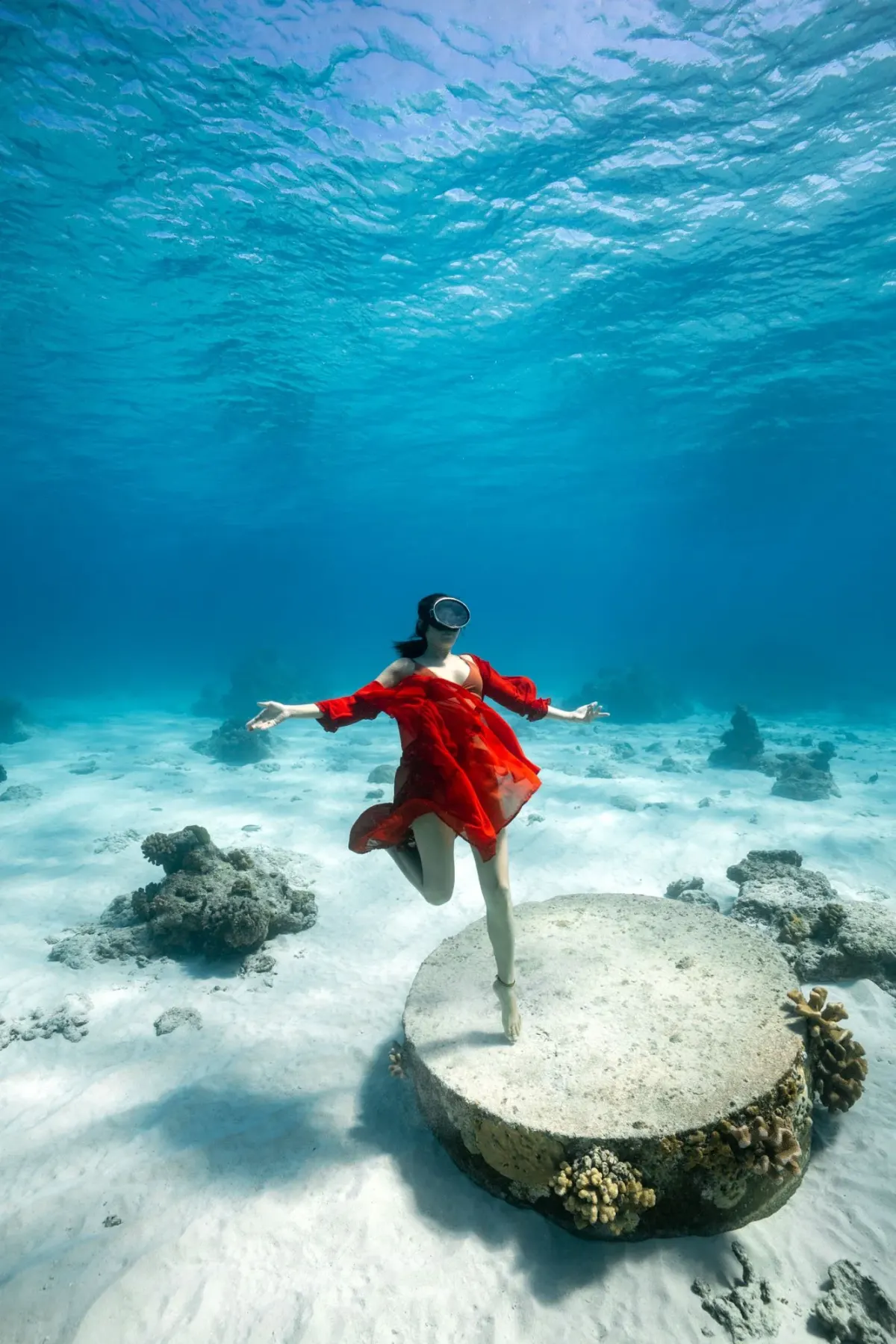 Freedivers and snorkelers during an Orenda ocean adventure near Koh Tao