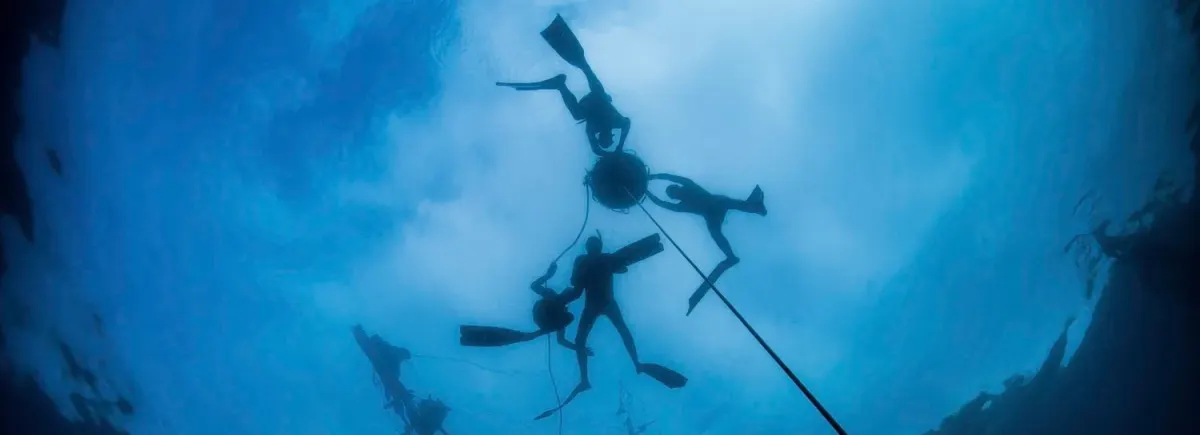 Freedivers and snorkelers during an Orenda ocean adventure near Koh Tao