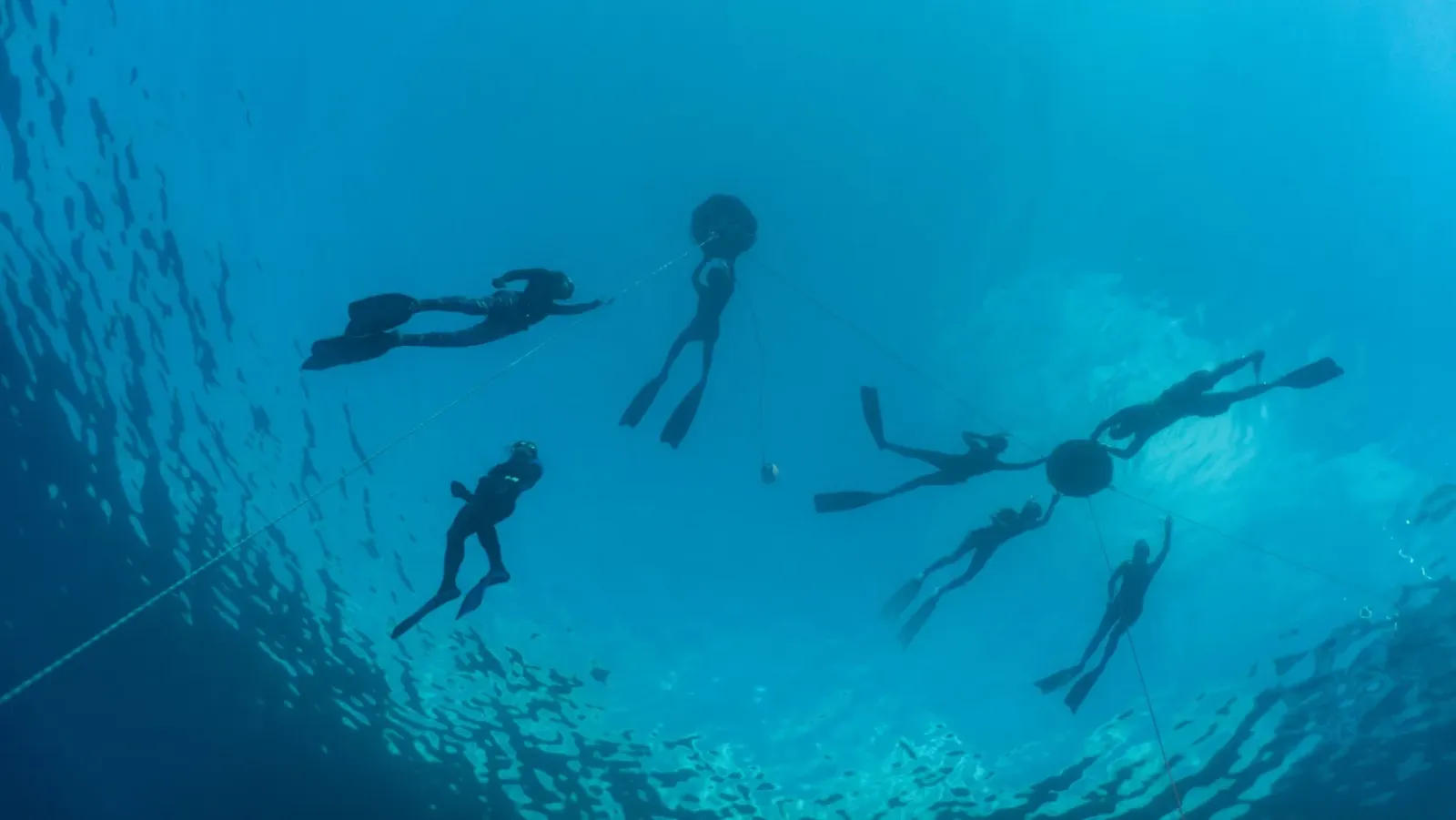 Ocean Retreats & Liveaboards